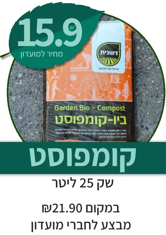 קומפוסט